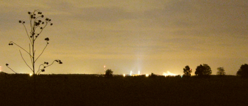 Goose Lake Prairie State Natural Area, nighttime.