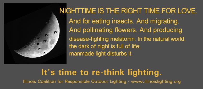 Manmade light at night disturbs ecosystems